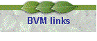 BVM links